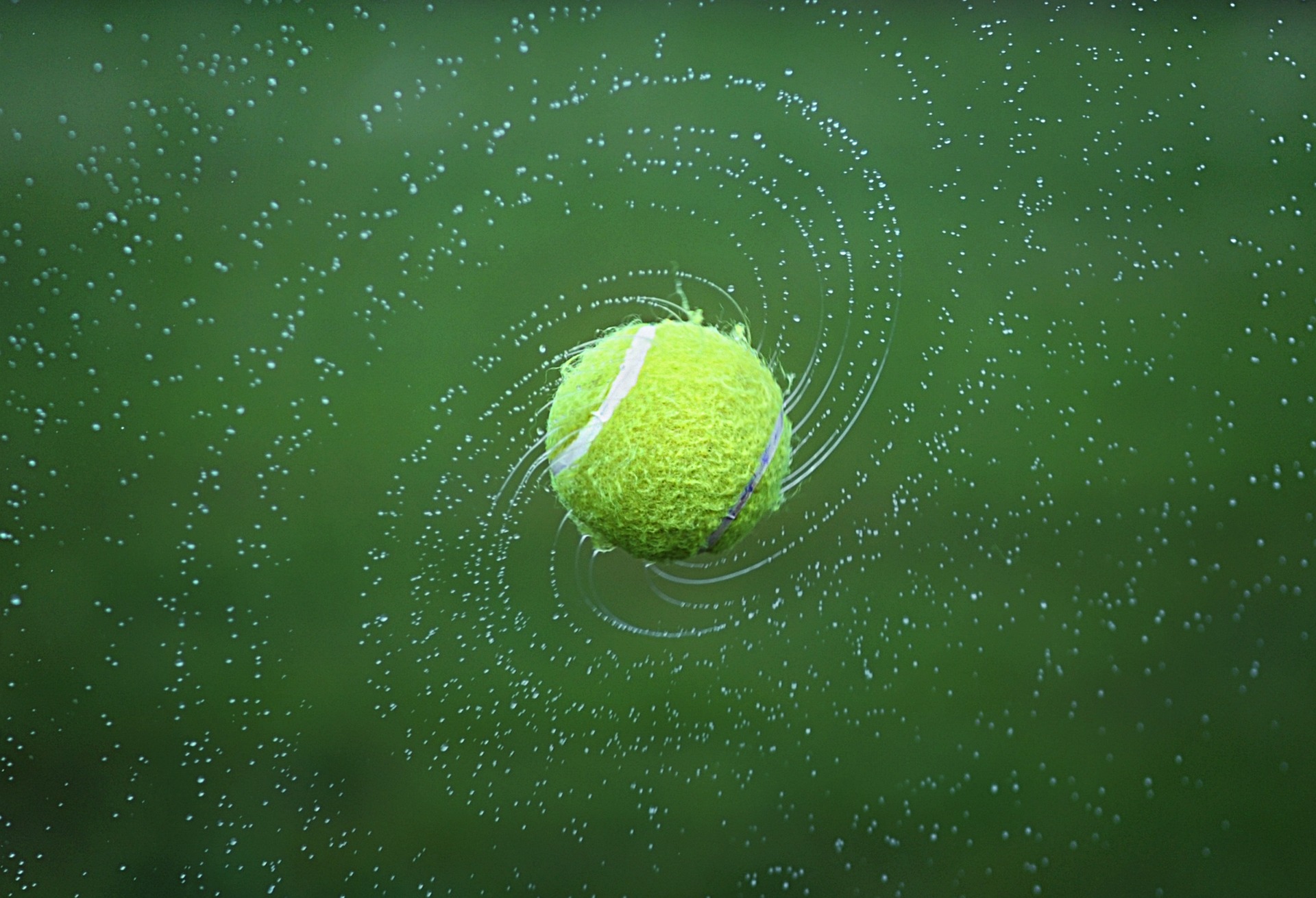 Tennis ball
